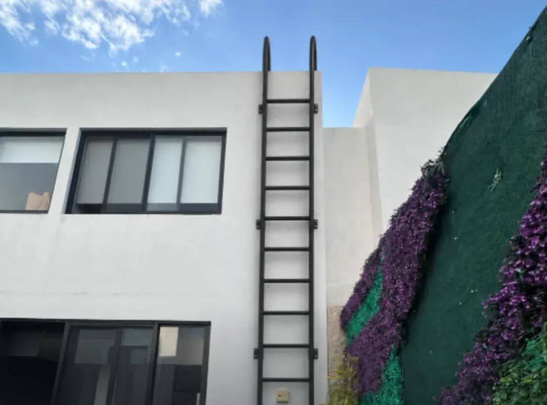 Escalera marinera de herrería negra sobre un muro blanco, junto a un muro verde con flores moradas